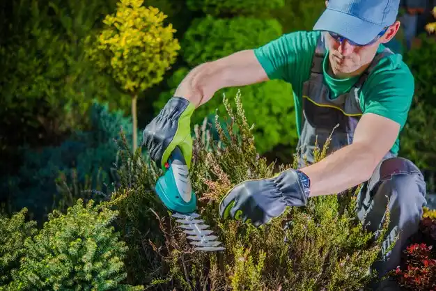 landscaping services Cozad